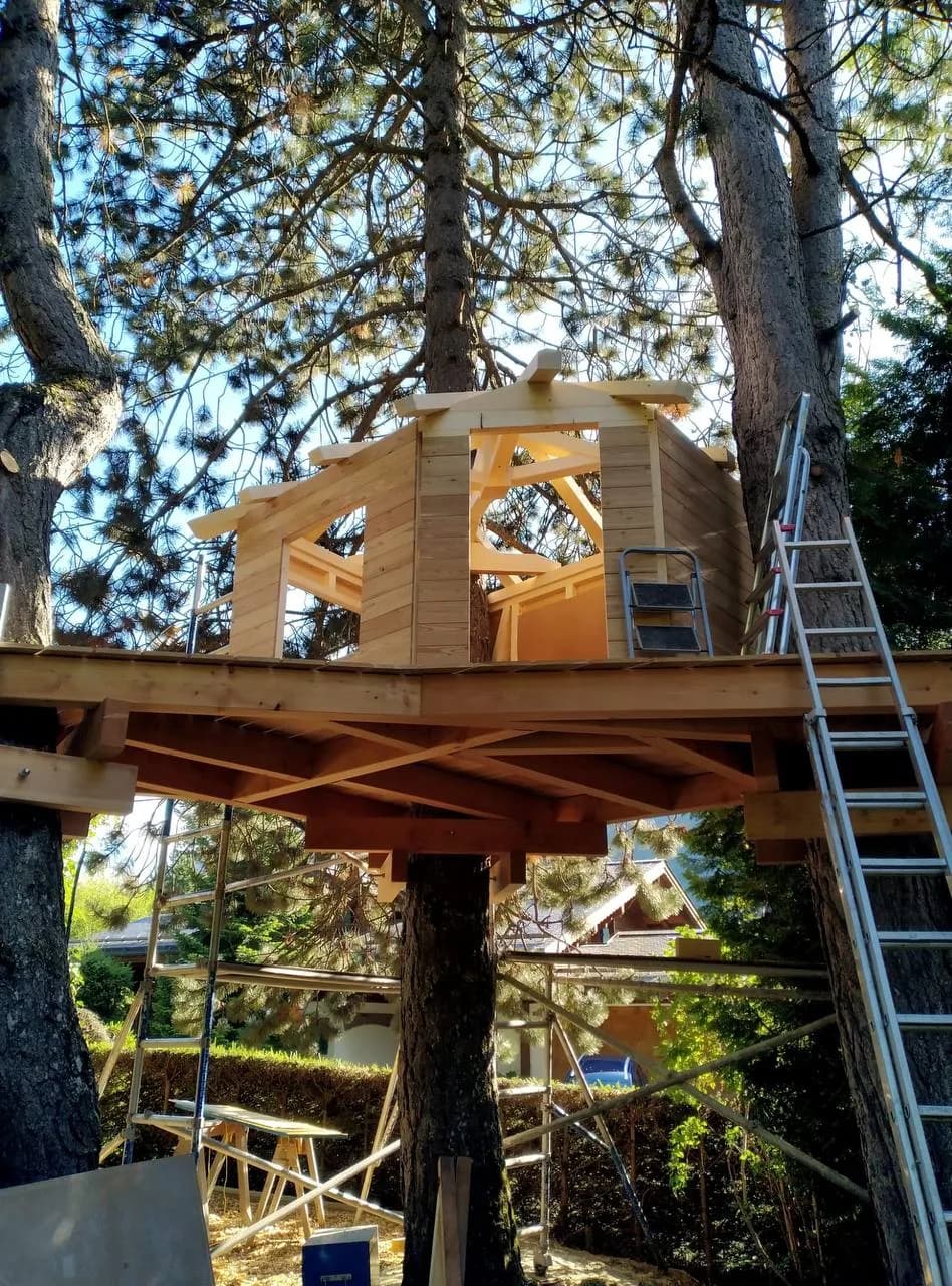 Ossature en bois d’une cabane construite entre plusieurs arbres